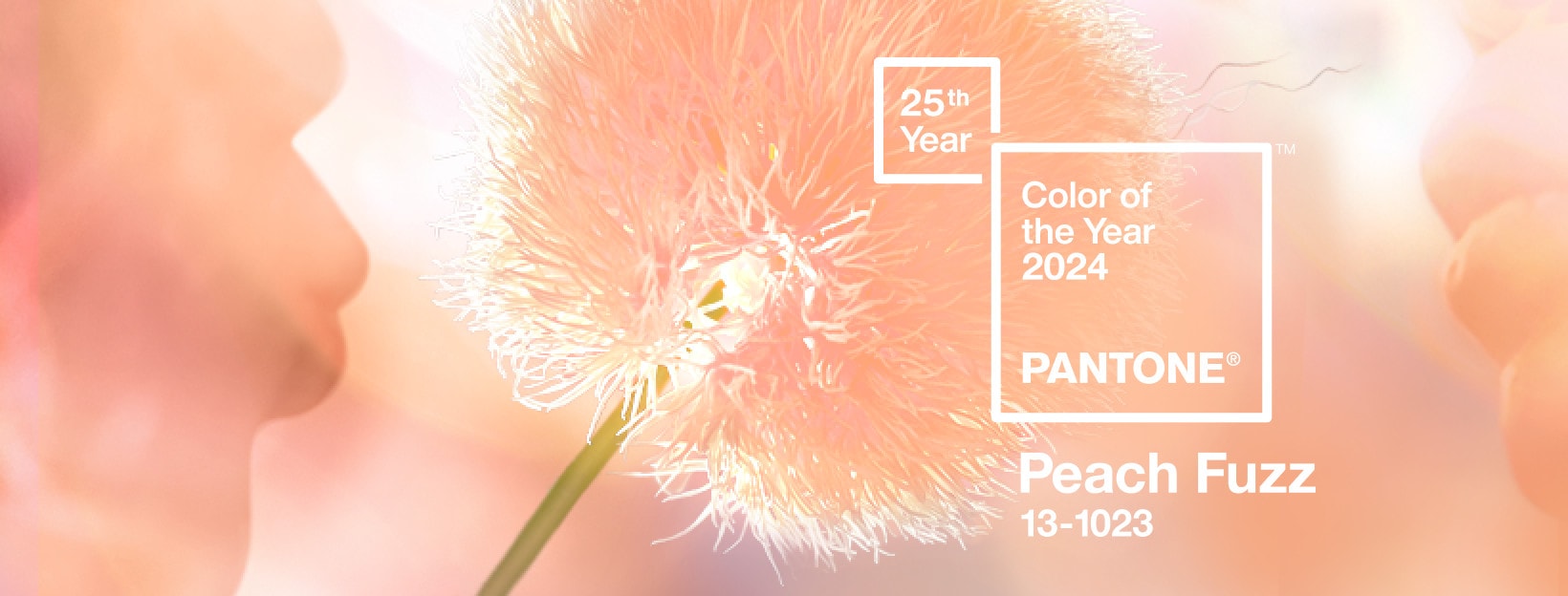 The pantone color of the year is peach fuzz.